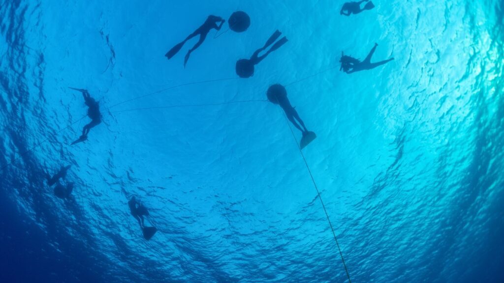 Apneisiti in mare, corso istruttore di apnea