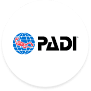 Logo Padi