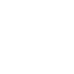 Grafica bolla