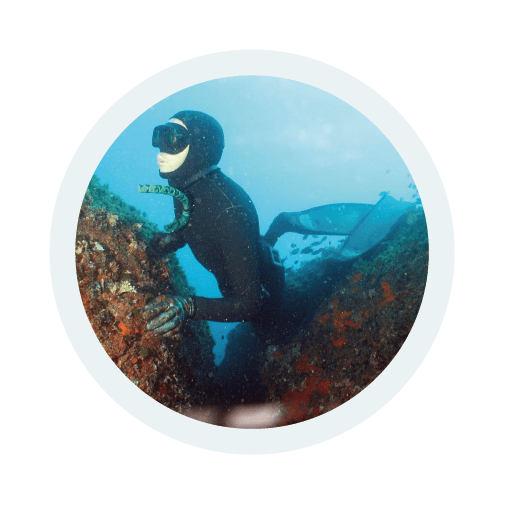 Ritratto di Massimiliano