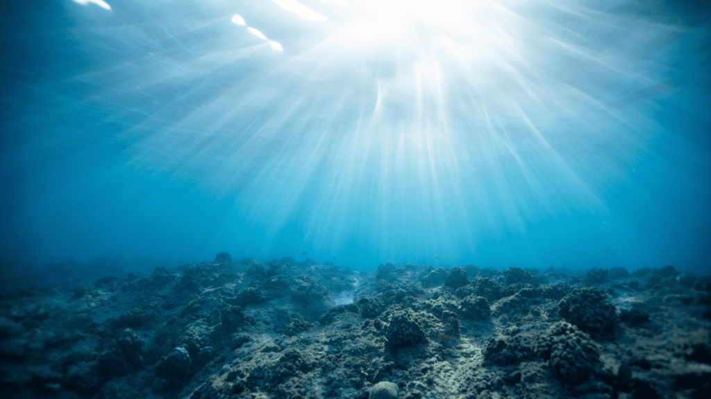 fondale marino corsi apnea liquidum