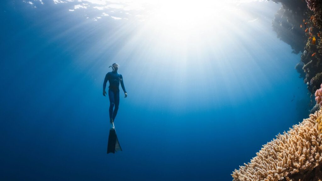 Corso di apnea Freediver Liquidum con Experience Y-40